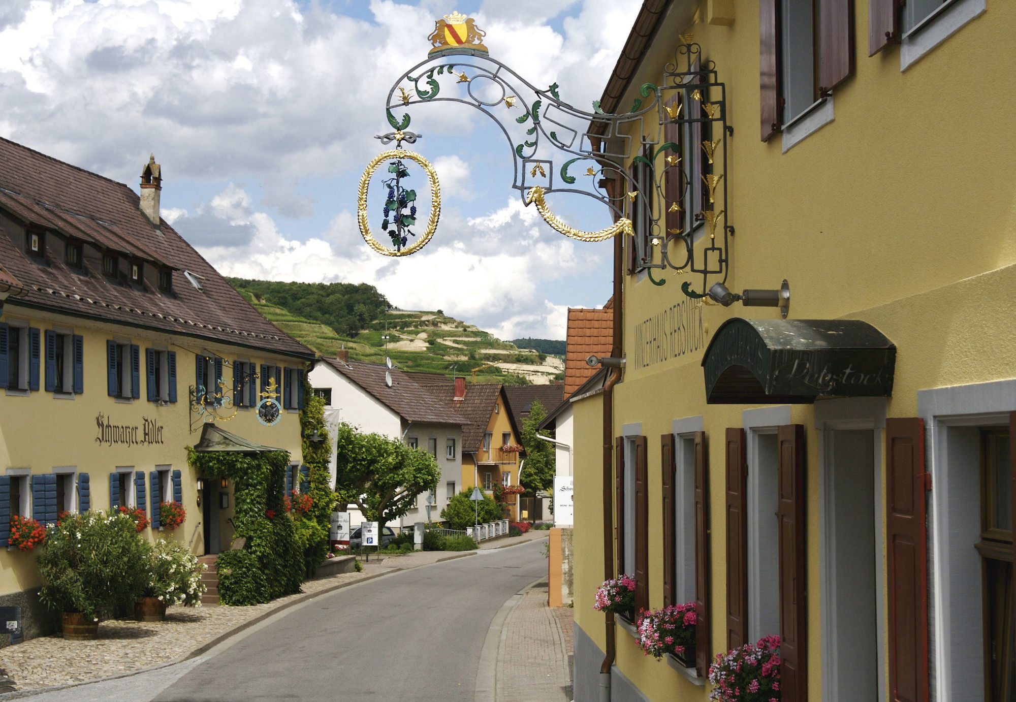 Schwarzer Adler Hotel Vogtsburg Esterno foto