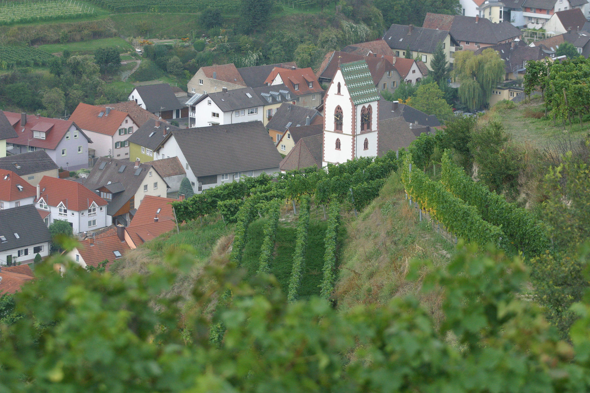 Schwarzer Adler Hotel Vogtsburg Esterno foto